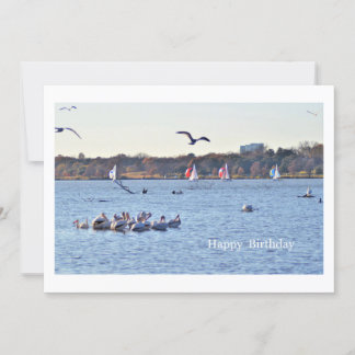 Parabéns (Lago White Rock - Dallas)