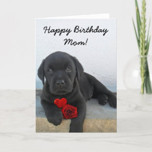 Parabéns Mãe Labrador Cartão Retriever