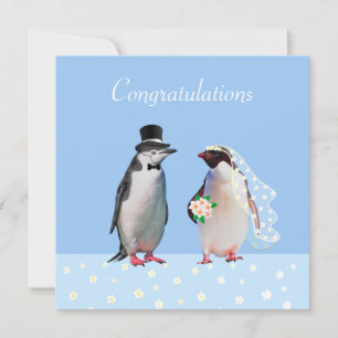 Parabéns pelo seu Casamento & Casal de Pinguins
