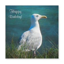 Parabéns, Seagull Magnetic Card