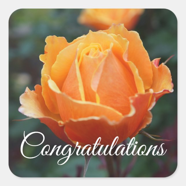 Parabéns sobre os adesivos Face Rosa nº 1 (Frente)