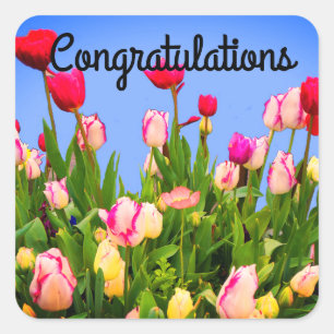 Parabéns Várias Tulipas 3 Adesivos