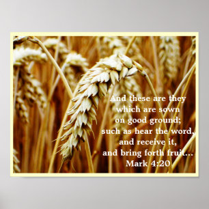 Parábola do poster do Sower