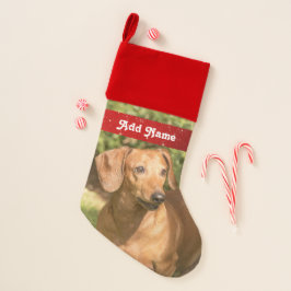 Parada de Natal Personalizada de Cão Dachshund