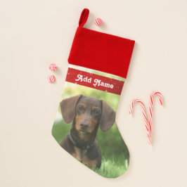 Parada de Natal Personalizada de Cão Dachshund