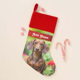 Parada de Natal Personalizada do Cão de Dachshund