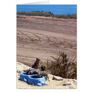 Parada de repouso - Cartão