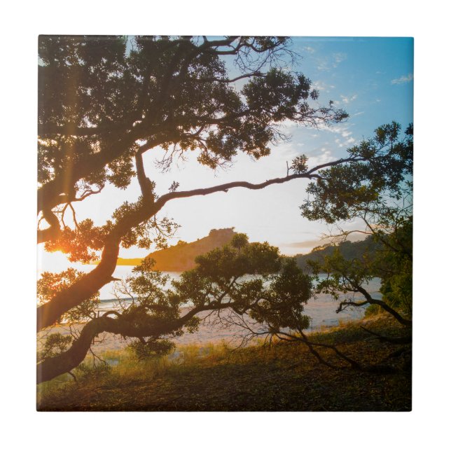 Paraíso de praia Sunrise Coromandel Nova Zelândia (Frente)