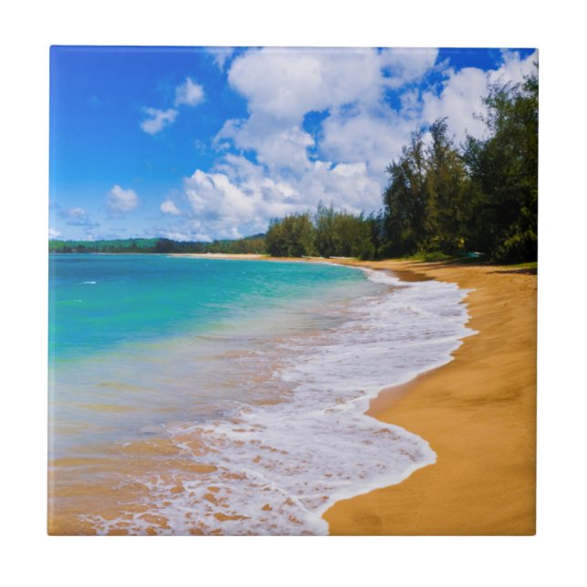 Paraíso de praia tropical, Havaí (Frente)