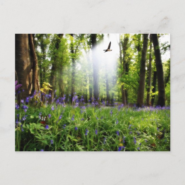 paraíso encontrado no cartão postal (Frente)