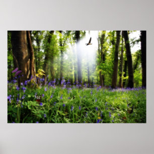 paraíso encontrado poster