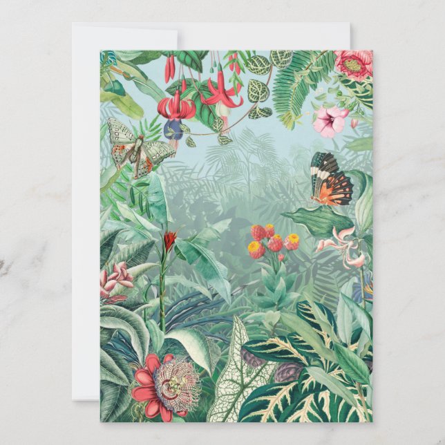 Paraíso tropical (Frente)