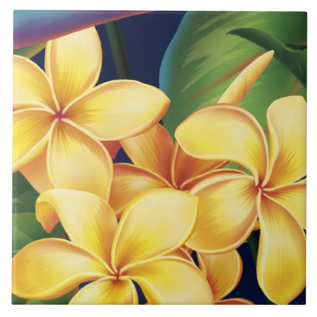 Paraíso Tropical Havaiana Plumeria Azulejos e Triv (Frente)