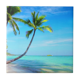 Paraíso tropical Linda Praia e Palmeiras