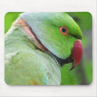 Parakeet Rosa-Rodeado Mousepad