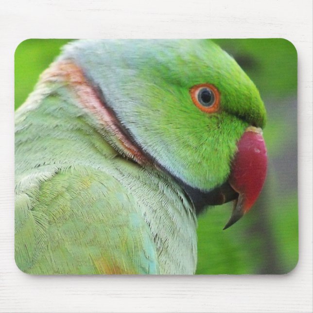 Parakeet Rosa-Rodeado Mousepad (Frente)
