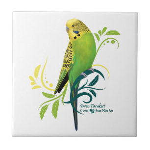 Parakeet verde