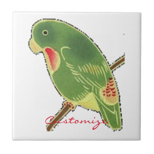 Parakeet verde tropical Thunder_Cove