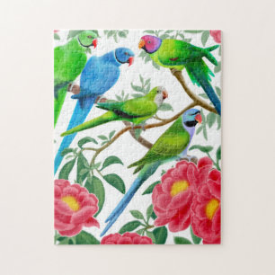 Parakeets no quebra-cabeça das flores da peônia