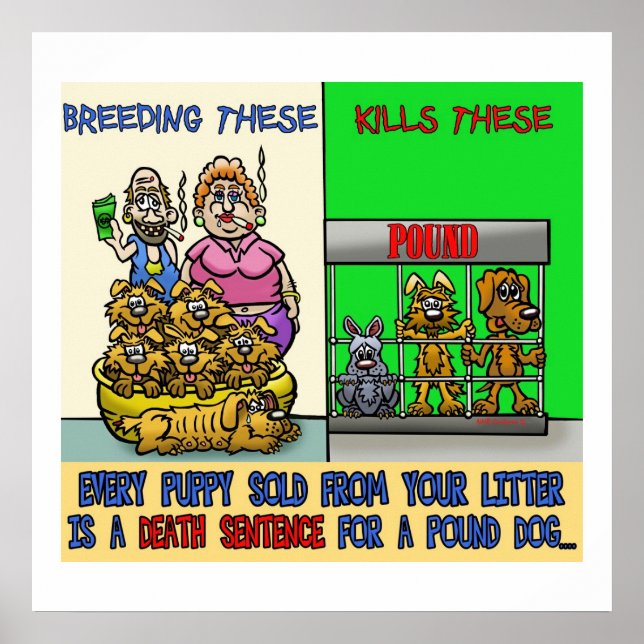 PARAR O POSTER DE REPRODUÇÃO DE BACKYARD (Frente)