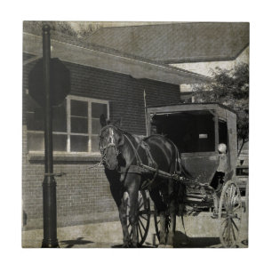 Parar para um Ortografia, Cavalo Amish no Sinal de