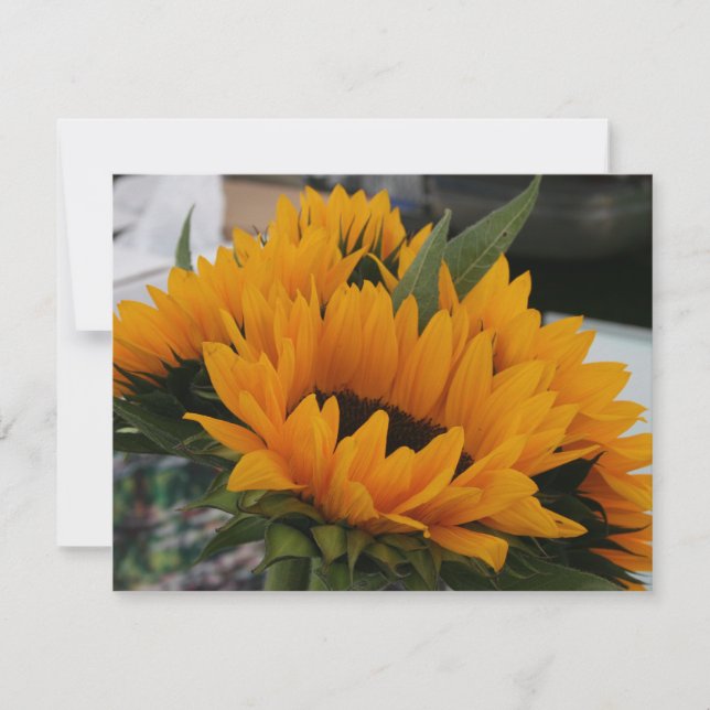 Parece um girassol (Frente)