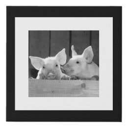 Parede da Galeria de Fotos Branca Preta de 2 Pigle