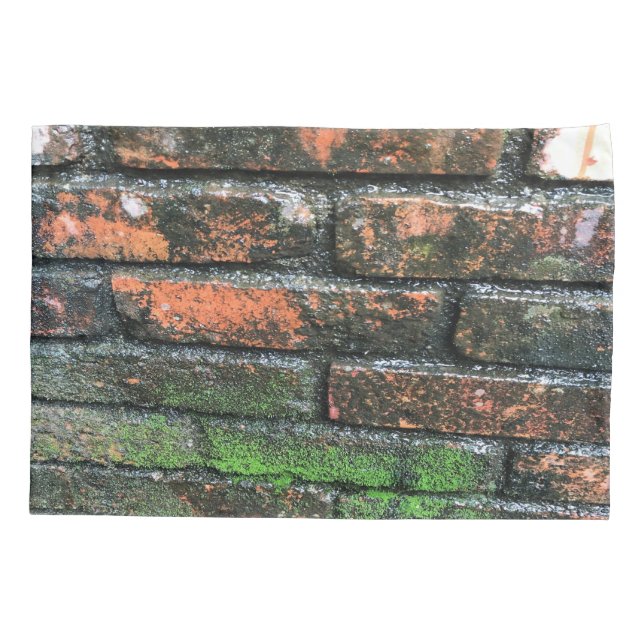 Parede de Brick Antiga (Verso)