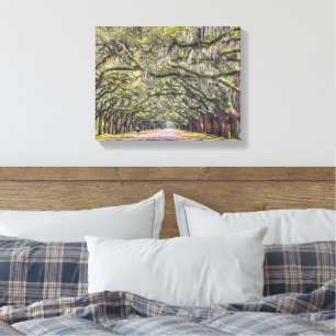 Parede de Canvas de Wormsloe Savannah Art 11x14