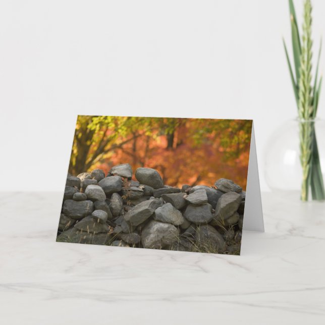 PAREDE   DE PEDRA DOS CARTÕES (Frente)