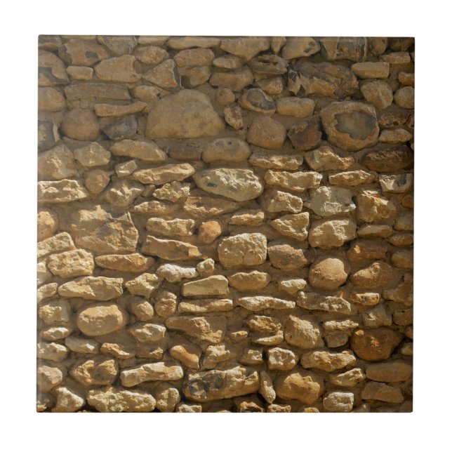 Parede de Pedra Rústica (Frente)