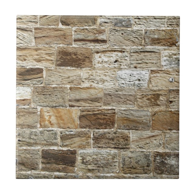 Parede de tijolo velha (Frente)