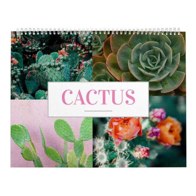 Parede Inicial do Calendário do Cactus (Capa)
