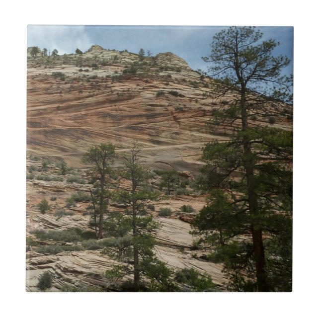 Paredes de Rocha Desgastadas no Parque Nacional de (Frente)