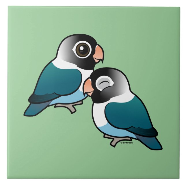 Pares adoráveis mascarados azul do Lovebird (Frente)