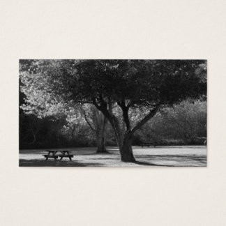 Park Bench e Tree Photo