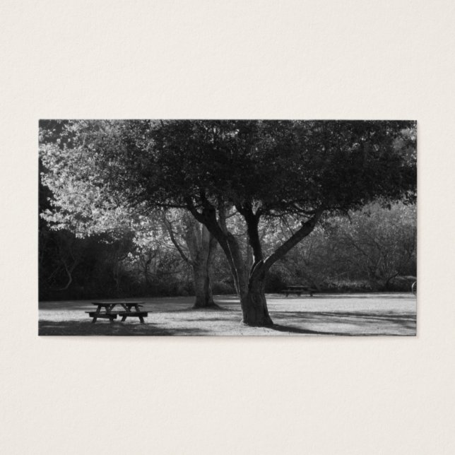 Park Bench e Tree Photo (Frente)