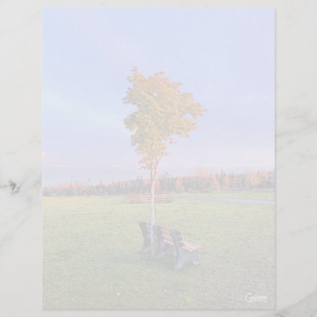 Park Bench - Folha de Papel de 8,5" x 11" (Frente)