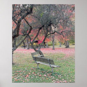 Park Bench na Poster do outono
