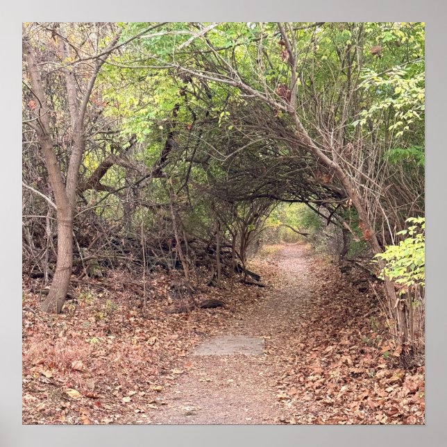 Park Path Poster (Frente)