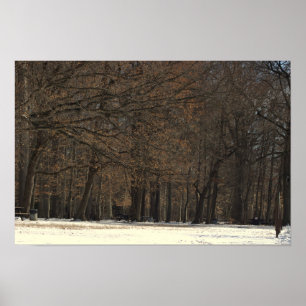 Park Trees e Poster de neve