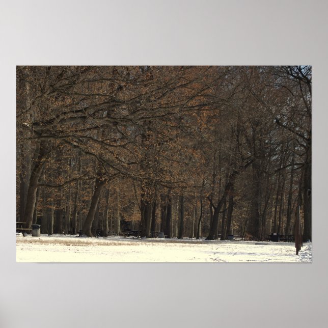 Park Trees e Poster de neve (Frente)