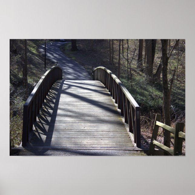 Park Walking Bridge Poster (Frente)