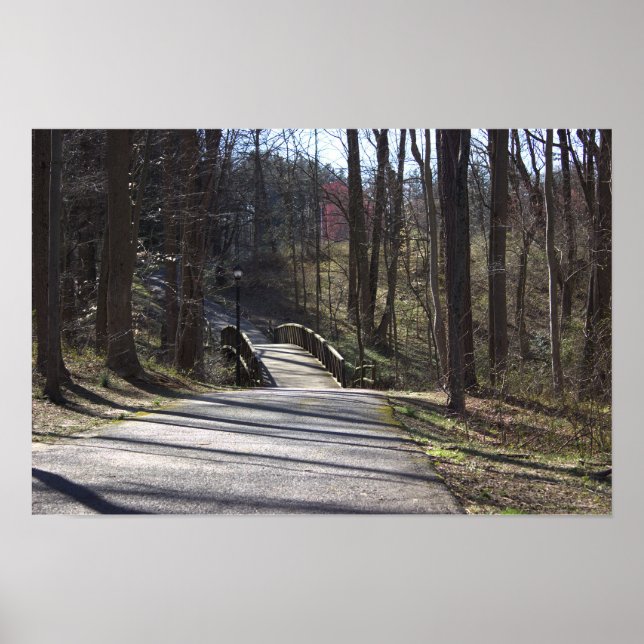 Park Walking Bridge Poster (Frente)