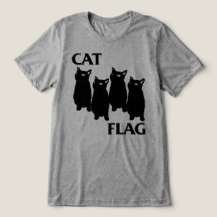 Paródia de Punk Rock da Bandeira do Gato