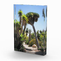 Parque Balboa do Jardim Cactus