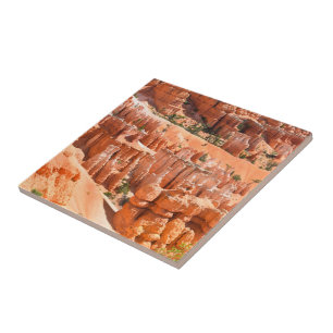 Parque Bryce Canyon Utah Paisagem Hoodoos Foto