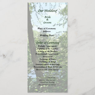 Parque com Ponte em Programa de Casamento à Distân