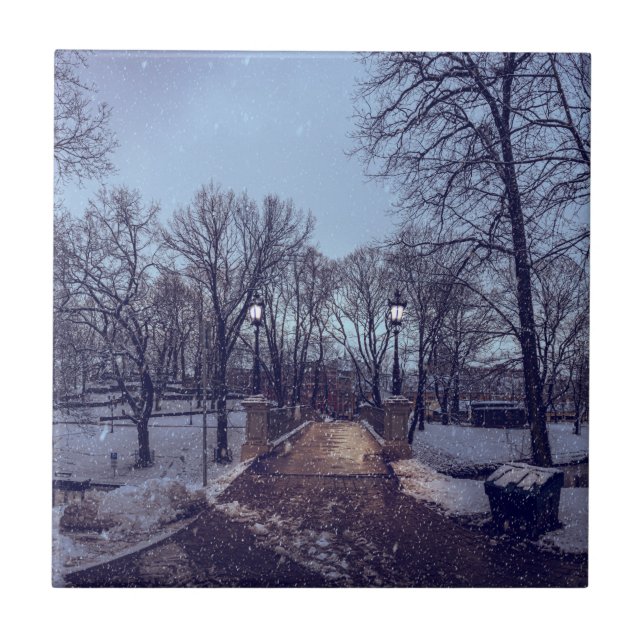 Parque da cidade de neve de inverno à noite (Frente)