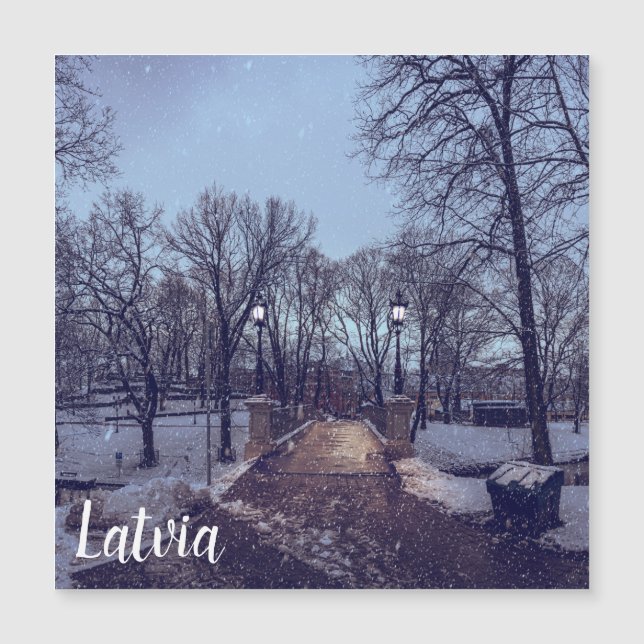 Parque da cidade de neve de inverno à noite (Frente)